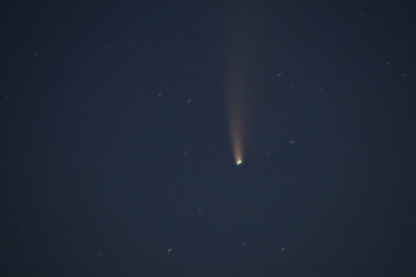 Der Komet Neowise (C/2020 F3)